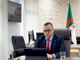 Intelligence artificielle: Zerrouki nommé membre du Conseil africain