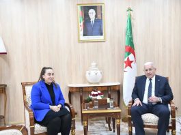 APN: Boughali reçoit une députée à l’Assemblée nationale française