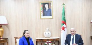 APN: Boughali reçoit une députée à l’Assemblée nationale française