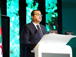 Arkab en visite au Niger: Les activités de Sonatrach et le gazoduc transsaharien à l’ordre du jour