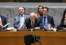 Diplomatie algérienne: Une année de poids: Présence régionale renforcée, action internationale affirmée et défense constante des causes justes