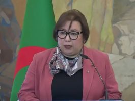 Enseignement Professionnel: «Le secteur est un réservoir de compétences et vecteur de diversification économique», déclare Arhab