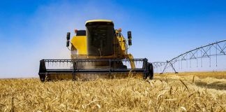 Double offensive pour sécuriser le secteur: 1 million de moutons pour l’Aïd et assurance climatique élargie aux agriculteurs