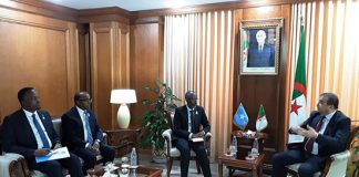 Alger et Mogadiscio renforcent leur partenariat énergétique: Formation, cadre juridique et investissements au programme