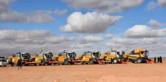 Adrar, nouveau pôle agricole stratégique du Sud: 1 million de quintaux de capacités de stockage pour soutenir la sécurité alimentaire