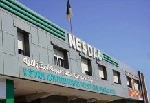 NESDA mise sur les micro-entreprises: Les diplômés au cœur de la stratégie entrepreneuriale