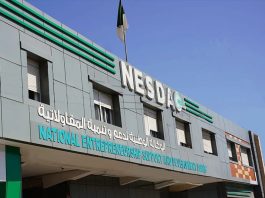 NESDA mise sur les micro-entreprises: Les diplômés au cœur de la stratégie entrepreneuriale