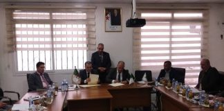 Filière avicole: Poussins subventionnés et poulet à 280 DA/kg grâce à une convention ONAB–aviculteurs