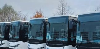 Tirsam engage l’importation de 1 000 nouveaux bus: Une opération d’envergure pour moderniser le parc national de transport de voyageurs