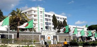 ANP: 4 terroristes abattus à Ain Defla