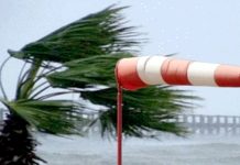 Des vents forts mercredi et jeudi sur plusieurs wilayas