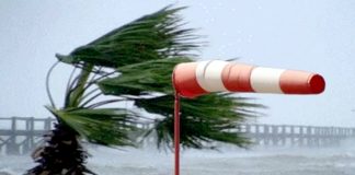 Des vents forts mercredi et jeudi sur plusieurs wilayas