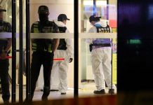 IA et troubles mentaux: Une affaire criminelle relance le débat sur les dérives de ChatGPT