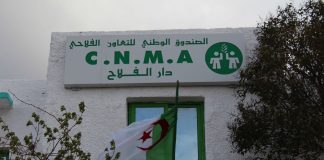 La CNMA lance une assurance contre la sécheresse: La céréaliculture en première ligne du nouveau dispositif
