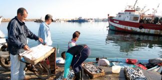 Pêche vers un fonds d’indemnisation des marins: Un revenu garanti en cas d’intempéries ou de repos biologique