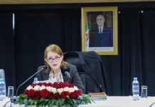 Tourisme et artisanat: Cap sur la croissance à l’horizon 2029: 74 projets livrés, 8 millions de touristes visés et des milliers d’emplois à la clé