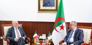 Alger et Rome veulent accélérer leur coopération stratégique: Interconnexion électrique et hydrogène vert au cœur des discussions