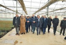 Sidi Bel-Abbes: Une délégation de la commission de l’Agriculture et du Développement rural du Conseil de la nation inspecte des projets agricoles