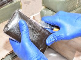 Alger: Saisie de plus de 2 kg de kif traité à Baraki