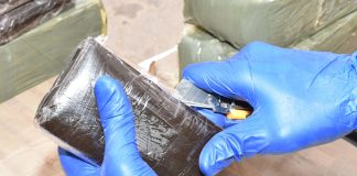 Alger: Saisie de plus de 2 kg de kif traité à Baraki