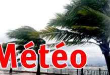 Des vents forts lundi sur plusieurs wilayas du pays