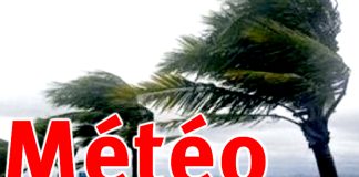 Des vents forts lundi sur plusieurs wilayas du pays