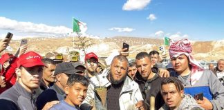 Cinq millions d’arbres plantés en une journée: Une mobilisation nationale pour une Algérie plus verte