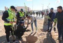 Reboisement: Grande campagne le 14 février pour la plantation de cinq millions d’arbres