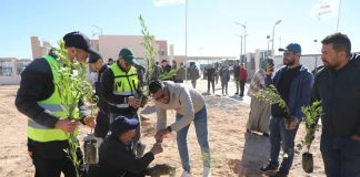 Reboisement: Grande campagne le 14 février pour la plantation de cinq millions d’arbres