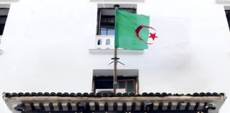 Organisation mondiale des douanes: Les douanes algériennes président la 20e session du Comité d’audit à Bruxelles