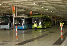 Programme de modernisation des transports urbains: Le premier chargement de nouveaux bus arrive au port d’Alger