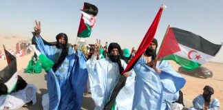 50e anniversaire de la proclamation de la RASD: Ferme détermination pour la poursuite du combat