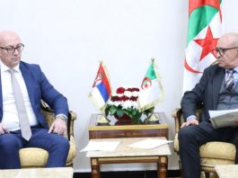 Algérie–Serbie: Nouvel élan pour la diplomatie parlementaire