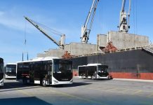 Jijel: Réception de 276 nouveaux bus au port de Djen Djen