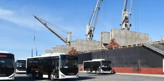 Jijel: Réception de 276 nouveaux bus au port de Djen Djen