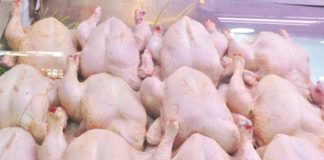 L’ONAB sécurise le marché des viandes blanches: Plus de 200 points de vente pour stabiliser l’offre et les prix