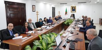 Centrales nationales, coopération avec le Niger et sécurité énergétique au programme: Adjal passe en revue les dossiers stratégiques du secteur