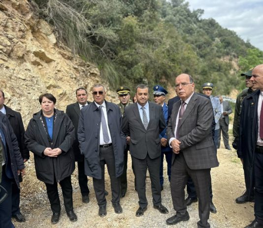 Suivi du projet de la mine de zinc-plomb: Arkab et Djellaoui inspectent le site d’Amizour