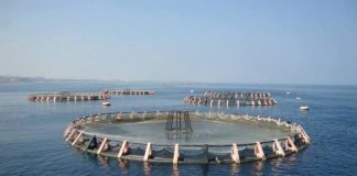 Objectif de 50.000 tonnes supplémentaires grâce à la pêche hauturière et à l’aquaculture: De nouvelles facilitations pour moderniser les navires de pêche