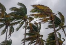 Vents forts mardi et mercredi sur trois wilayas du Sud