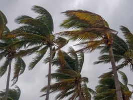 Vents forts mardi et mercredi sur trois wilayas du Sud