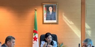 Protection du consommateur: Pierre angulaire dans la nouvelle stratégie commerciale