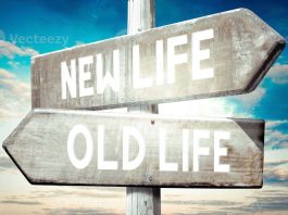 Voici les quatre clés qui aident à vivre longtemps, selon des chercheurs