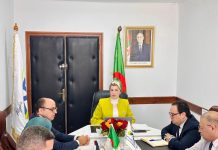 211 milliards de dinars mobilisés pour 2026: Aides sociales, emploi et développement local, la feuille de route ambitieuse de l’Agence de développement social