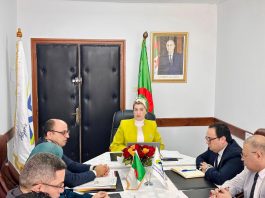 211 milliards de dinars mobilisés pour 2026: Aides sociales, emploi et développement local, la feuille de route ambitieuse de l’Agence de développement social