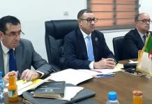 Transports et sécurité au cœur du partenariat Algérie–Niger: Sayoud : “Une coopération renforcée pour dynamiser les échanges”