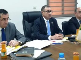 Transports et sécurité au cœur du partenariat Algérie–Niger: Sayoud : “Une coopération renforcée pour dynamiser les échanges”