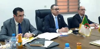 Transports et sécurité au cœur du partenariat Algérie–Niger: Sayoud : “Une coopération renforcée pour dynamiser les échanges”