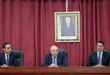 Wassim Kouidri salue le rôle des femmes dans le développement du secteur