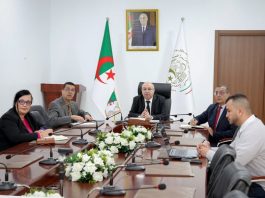 Médicaments, vaccins et transfert de savoir-faire: L’Algérie sollicitée pour accompagner le Niger